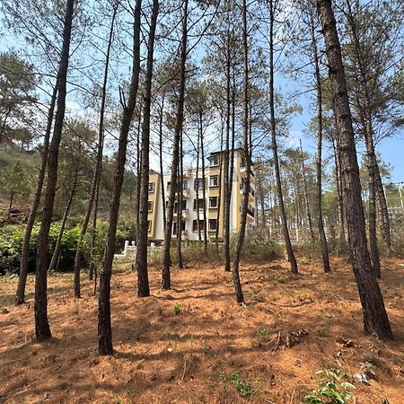 Xtsy Travellers Hostel Shillong Buitenkant foto