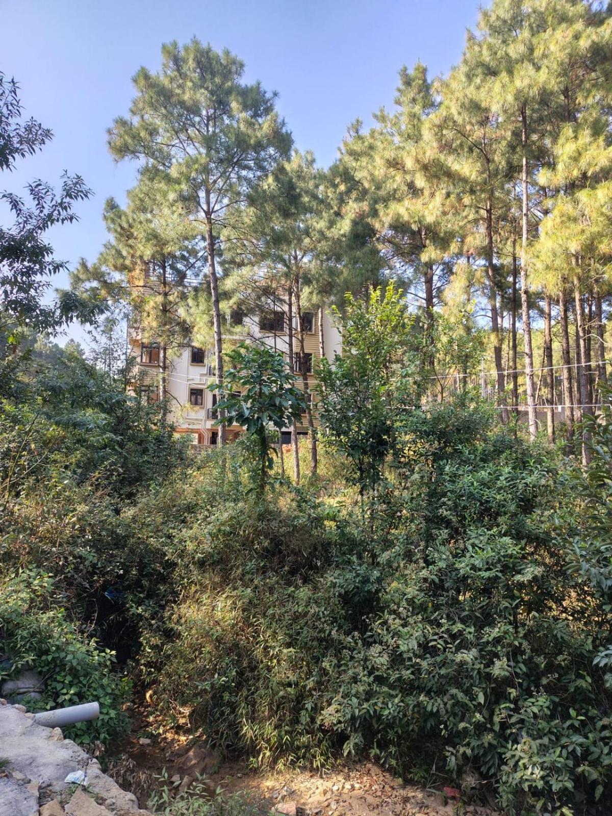 Xtsy Travellers Hostel Shillong Buitenkant foto