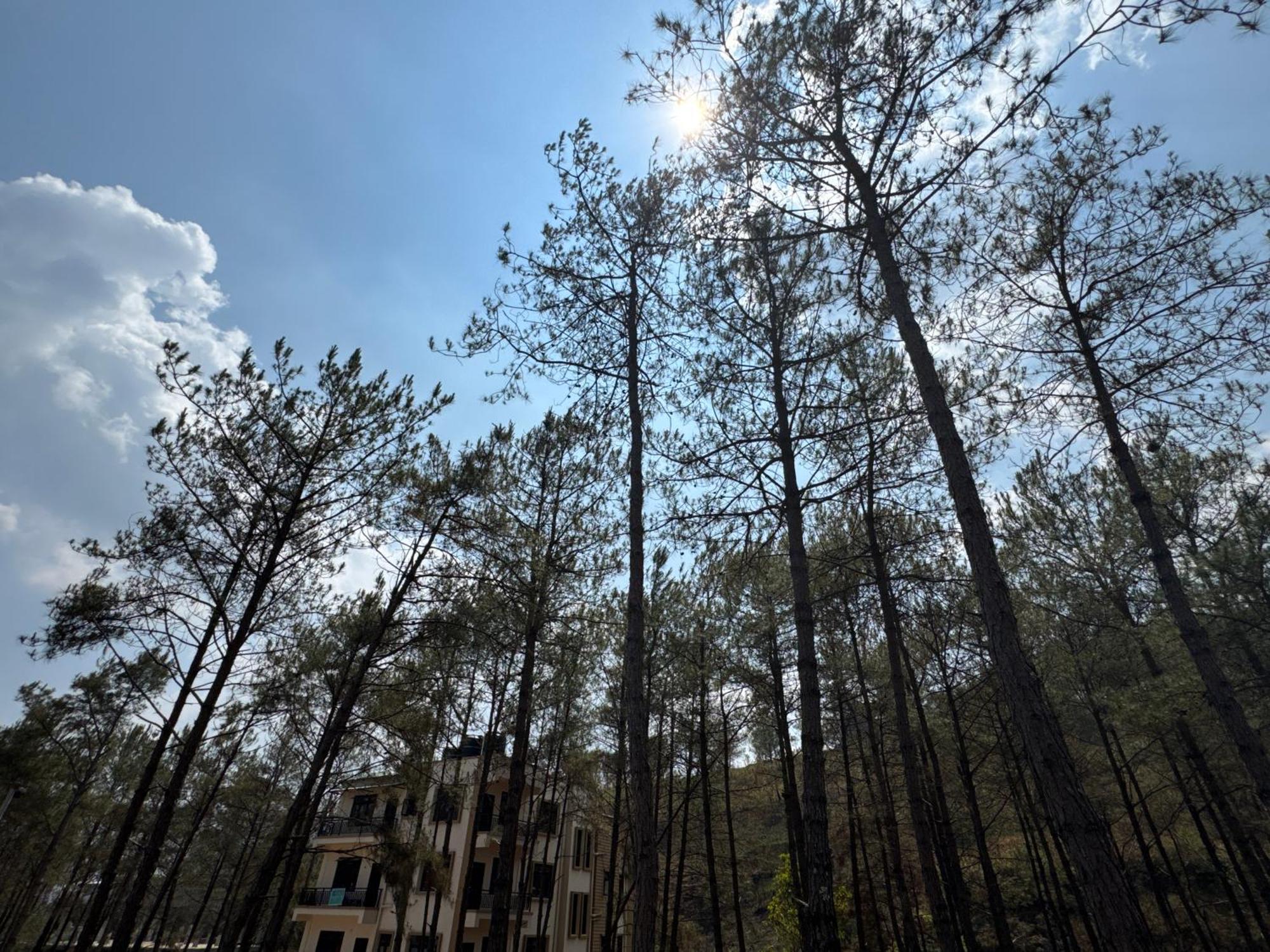 Xtsy Travellers Hostel Shillong Buitenkant foto